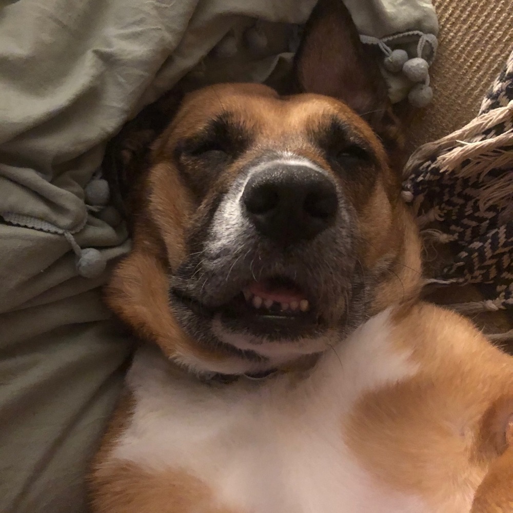 Meet your Posher, Emma